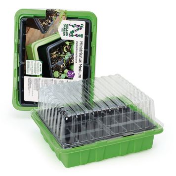 Pienoiskasvihuone Medium 30 x 24 cm 24 kennoa