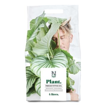 Kukkamulta Nelson Garden Plant Premium 4 l