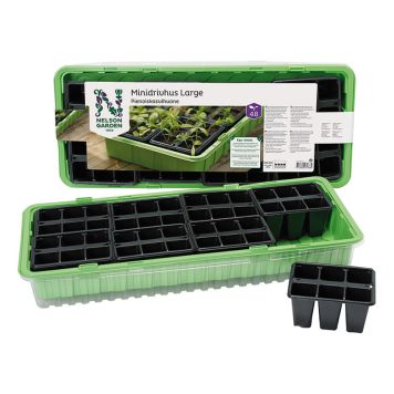Pienoiskasvihuone Large 57 x 24 cm 48 kennoa