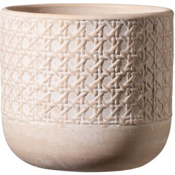 Suojaruukku Vienna beige 13 cm