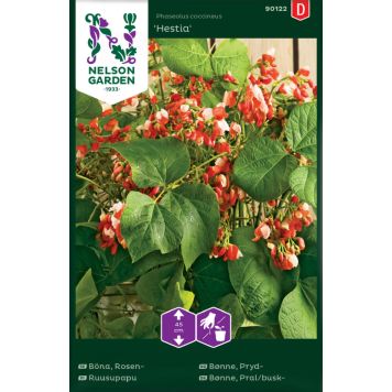 Ruusupapu Nelson Garden Hestia