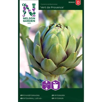 Latva-artisokka Nelson Garden Vert de Provence
