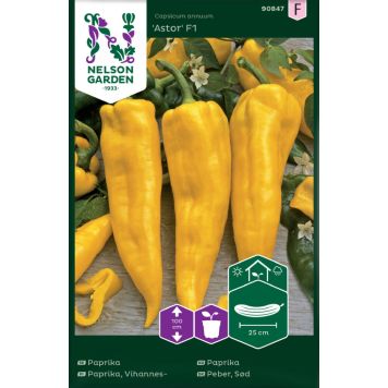 Vihannespaprika Nelson Garden Astor