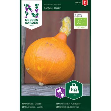 Jättikurpitsa Nelson Garden Uchiki Kuri