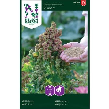 Kvinoa Nelson Garden Vikinga