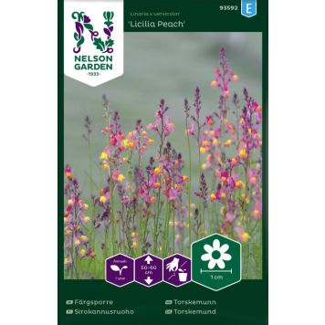 Sirokannusruoho Nelson Garden Licilia Peach