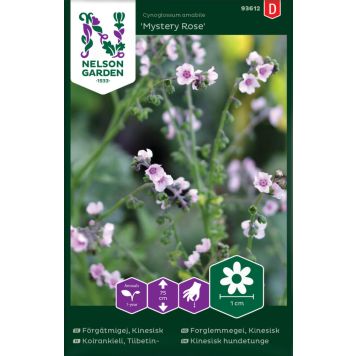 Tiibetinkoirankieli Nelson Garden Mystery Rose