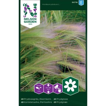 Koristeruoho Nelson Garden Partaohra