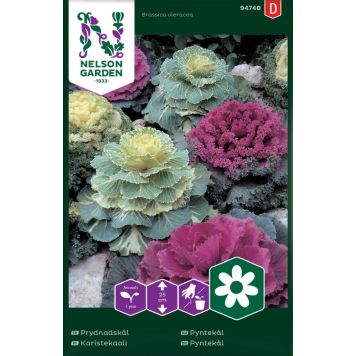 Koristekaali Nelson Garden väriseos