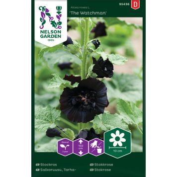 Tarhasalkoruusu Nelson Garden Watchman