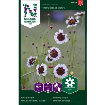 Tiikerikaunosilmä Nelson Garden Incredible Swirl