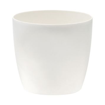 Suojaruukku Elho Brussels Valkoinen 30 cm