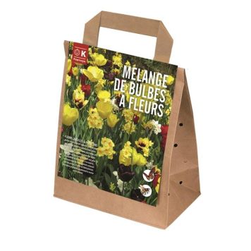 Kukkasipulilajitelma keltainen-tummanpunainen 25 kpl