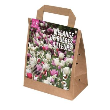 Kukkasipulilajitelma pinkkisävyinen 25 kpl