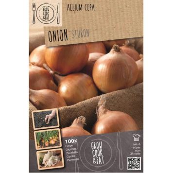 Sipuli Kapiteyn Sturon 100 kpl