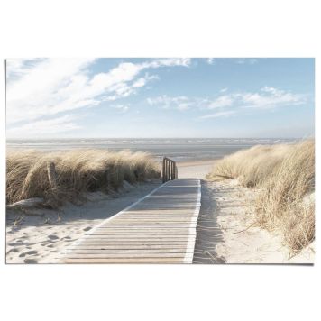 Juliste Reinders 004 61 x 91,5 cm