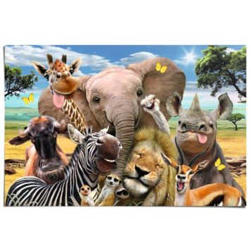 Juliste Reinders 006 61 x 91,5 cm