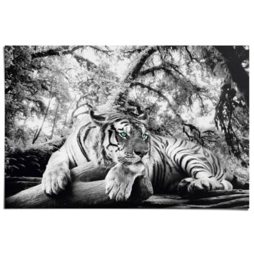 Juliste Reinders 010 61 x 91,5 cm