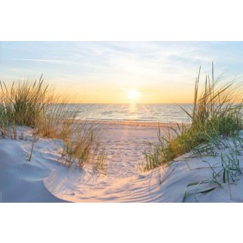 Juliste Reinders 022 61 x 91,5 cm