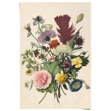 Juliste Reinders 035 61 x 91,5 cm