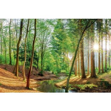 Juliste Reinders 044 61 x 91,5 cm