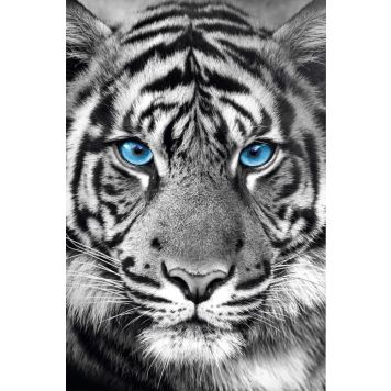 Juliste Reinders 072 61 x 91,5 cm