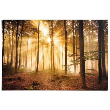 Juliste Reinders 111 61 x 91,5 cm