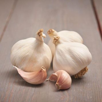 Valkosipuli Fokmagyma 3kpl