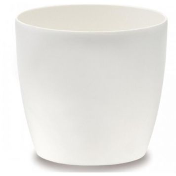 Suojaruukku Elho Brussels Valkoinen 14 cm