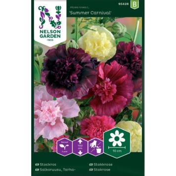 Tarhasalkoruusu Nelson Garden Summer Carnival