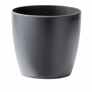 Suojaruukku Elho Brussels antrasiitti 25 cm