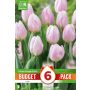 Syyskukkasipuli Kapiteyn Tulppaani Single Early Pink 6 kpl