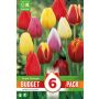 Syyskukkasipuli Kapiteyn Tulppaani Triumph Mix 6 kpl