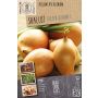 Salottisipuli Kapiteyn Golden Gourmet 10 kpl