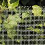 Seulaverkko 0,6 m x 1 m / 4 x 4 mm