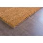 Kynnysmatto Astra Kokosvelours 50 x 80 cm