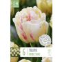 Syyskukkasipuli Tulppaani Premium Double Shaker 6 kpl