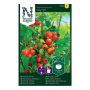 Kirsikkatomaatti Nelson Garden Tiny Tim