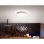 Kattovalaisin Philips Hue Devere M Valkoinen