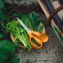 Puutarhan yleissakset Fiskars Classic 21 cm