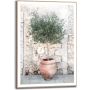 Sisustustaulu Reinders Olive Tree 50 x 70 cm