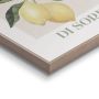 Sisustustaulu Reinders Limoni 40 x 50 cm