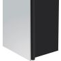 Peilikaappi Camargue Aluminio Black 60 x 60 x 11 cm