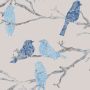 Kuitutapetti Belle Harmaa/siniset linnut