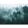 Kuitutapetti A.S. Creation Digiprint Misty Forest 39898-1