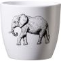 Miniruukku Safari elefantti 10 cm