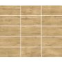 Lattialaatta Ceramiche Serra Dania beige 31 x 62 cm 