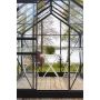 Kasvihuone Halls Popular 6,2 m²