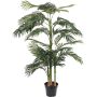 Silkkikasvi Betelpalmu 190 cm