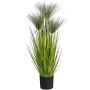 Silkkikasvi Papyrus-heinä 76 cm